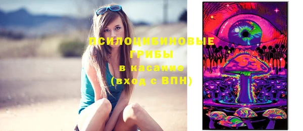 твердый Лиски