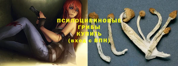 твердый Лиски