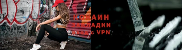 твердый Лиски