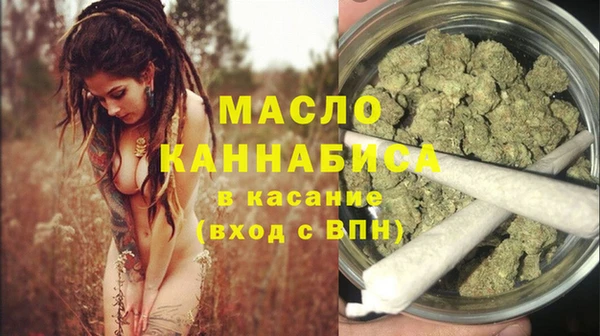 молекула духа Снежинск