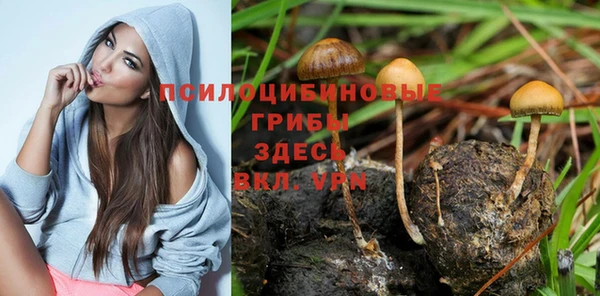 твердый Лиски