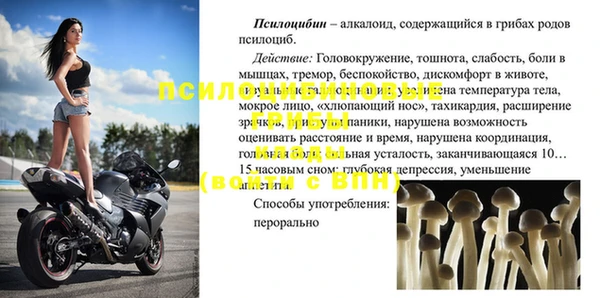 твердый Лиски