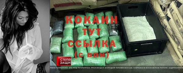 трава Снежногорск