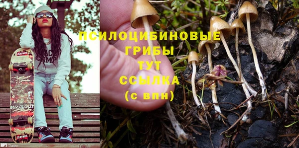 твердый Лиски